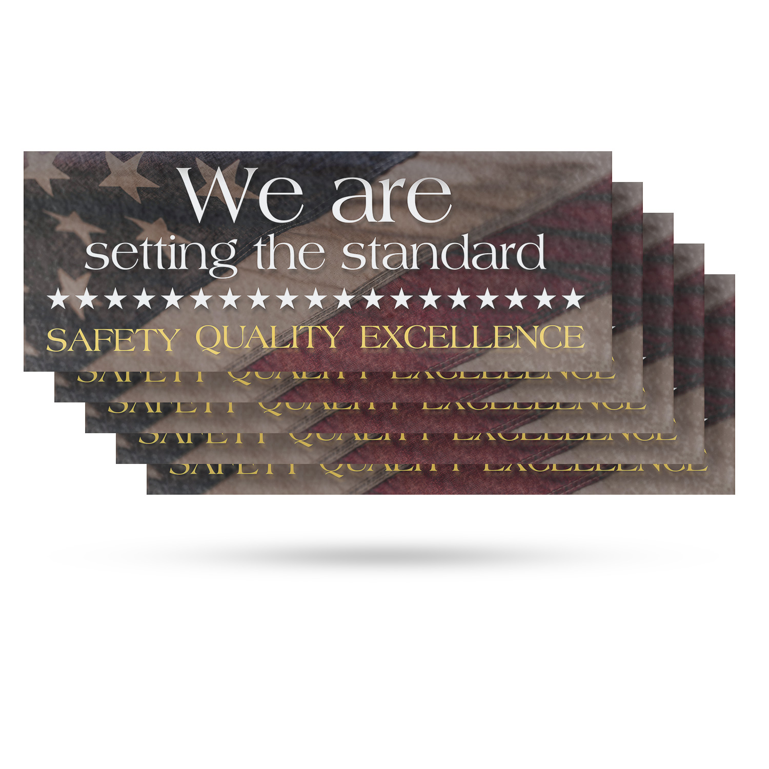 Setting the Standard Safety Vinyl Decal Professional Workplace Reminders