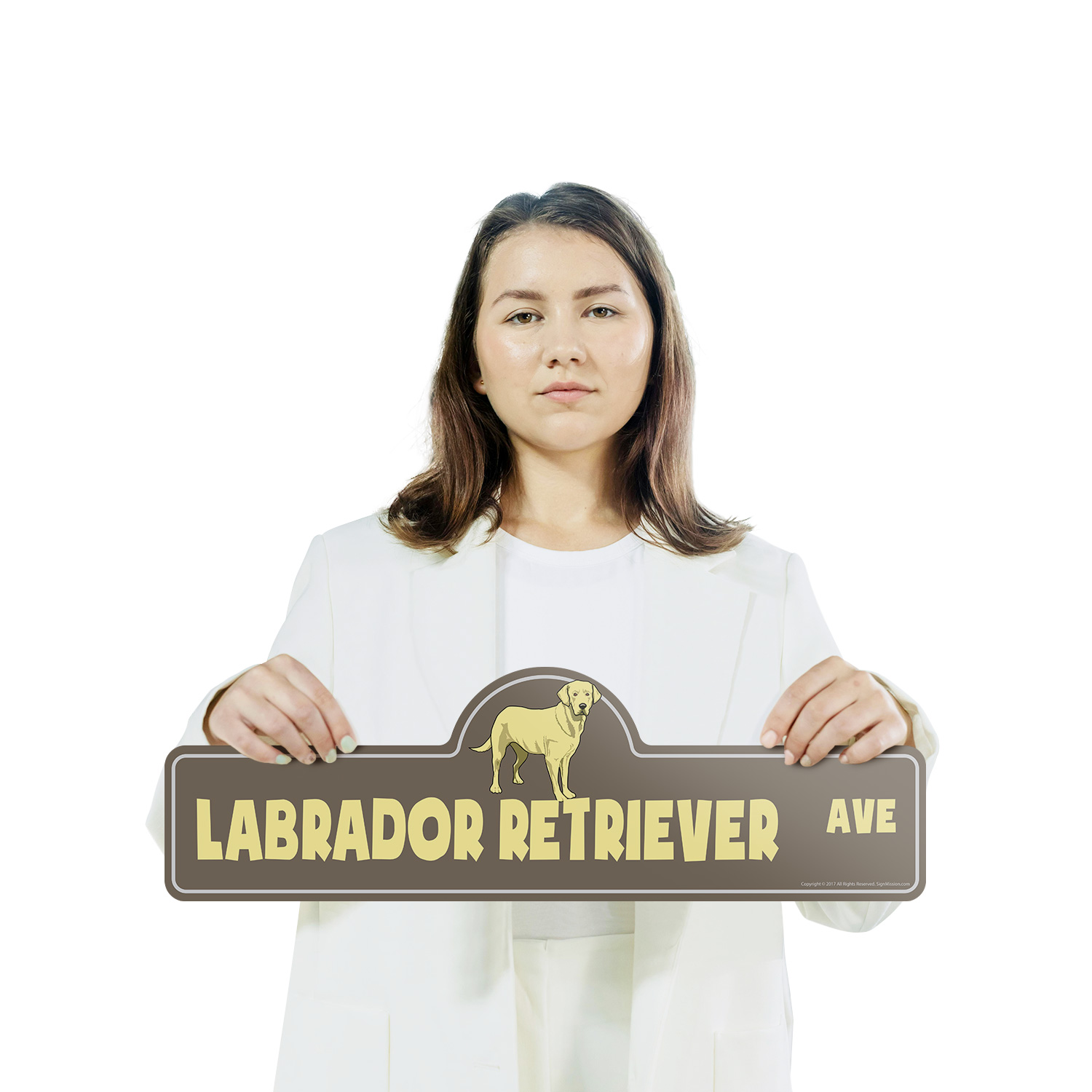 Labrador Retriever Plastic Street Sign Crossing Xing Gift Novelty Funny - Picture 11 of 21