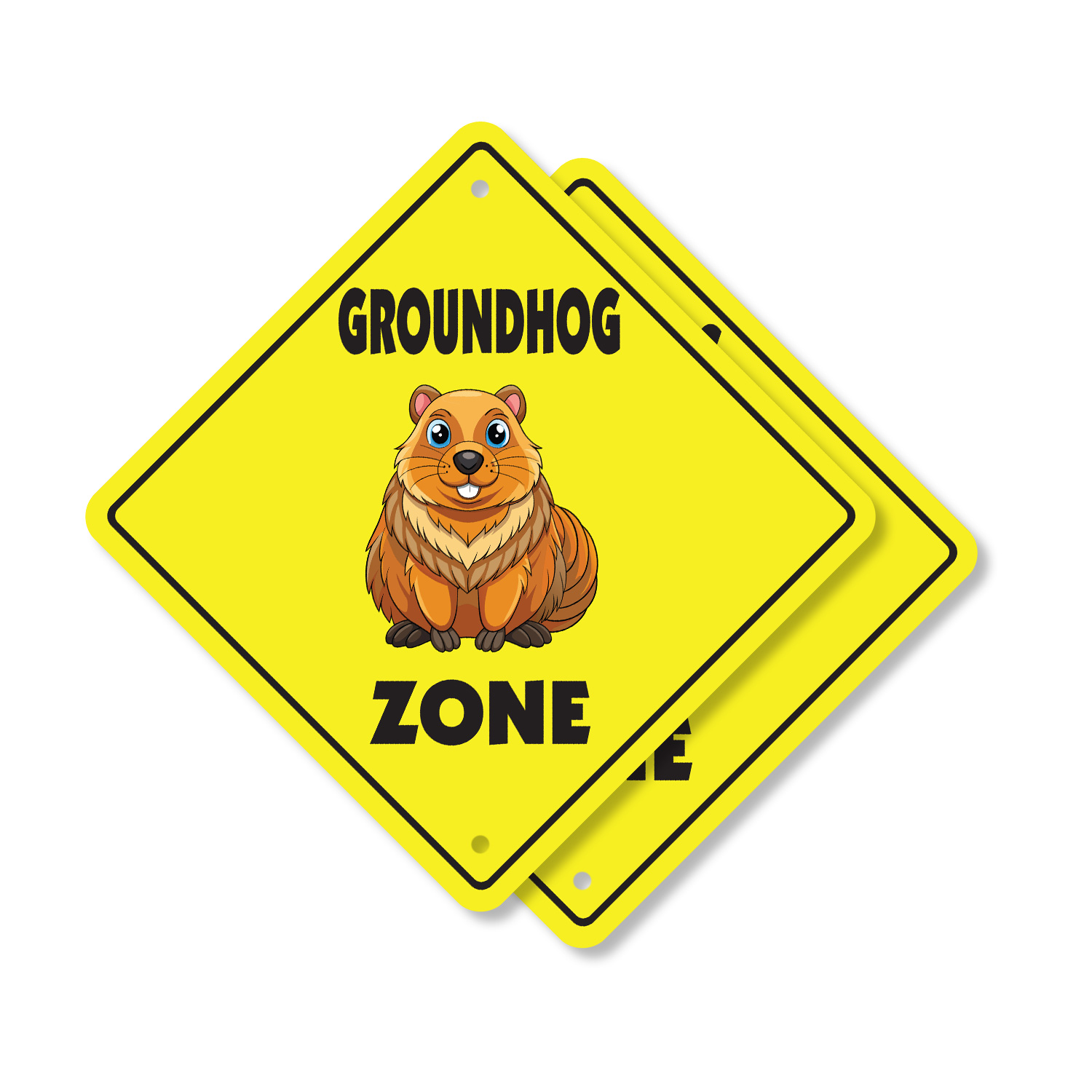 Imagen 5 de 21
