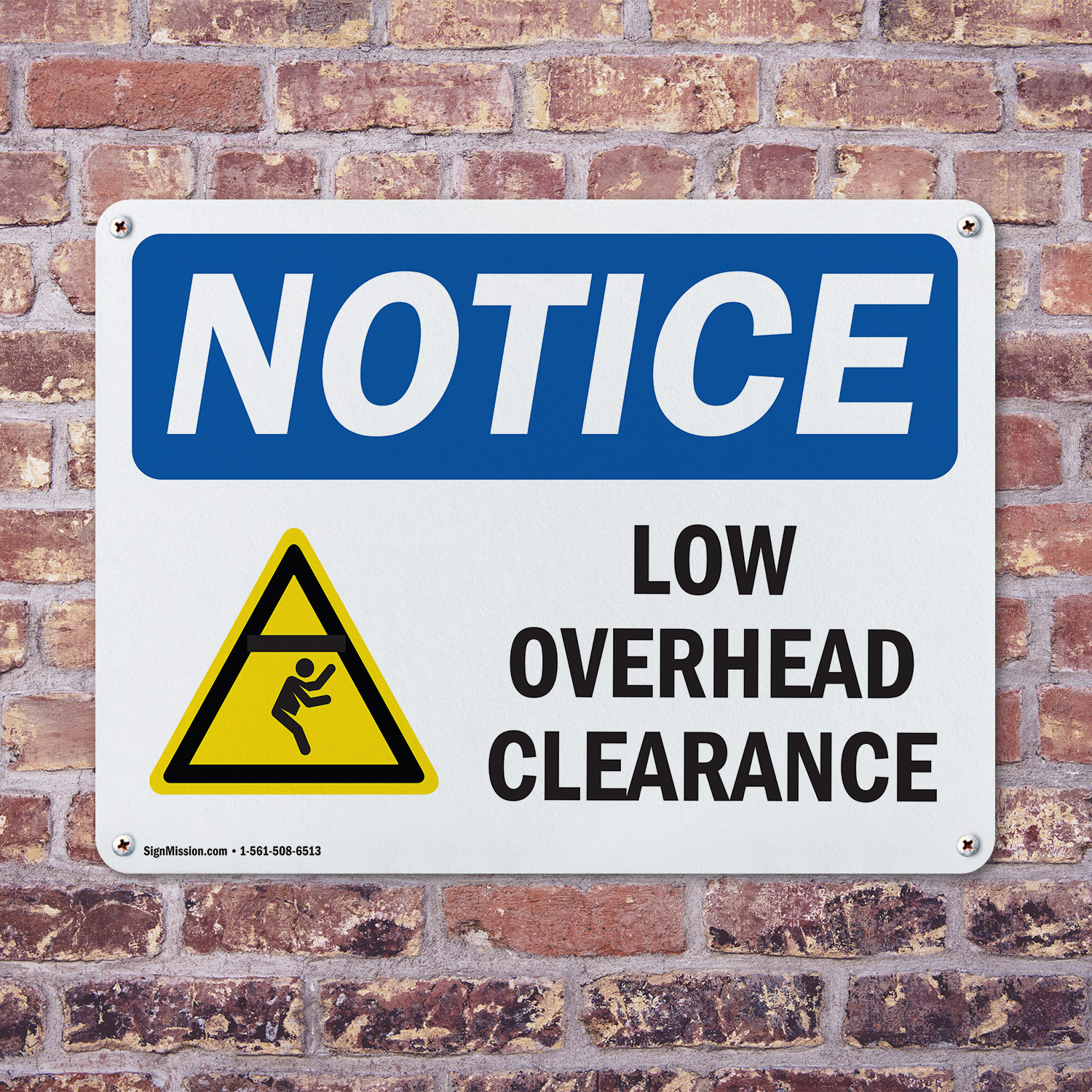 main-picture