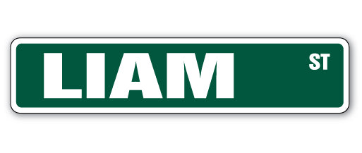 LIAM Street Sign Childrens Name Room Metal Sign Decal - Picture 1 of 14